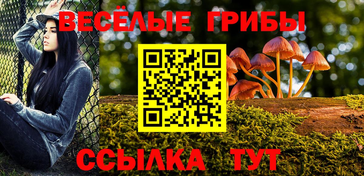 Галлюциногенные грибы прущие грибы Алушта