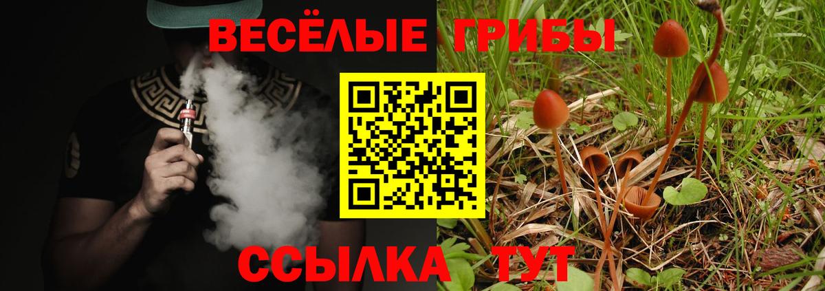 Алушта  Галлюциногенные грибы Magic Shrooms  цены   Псилоцибиновые грибы GOLDEN TEACHER  Вход с VPN 
